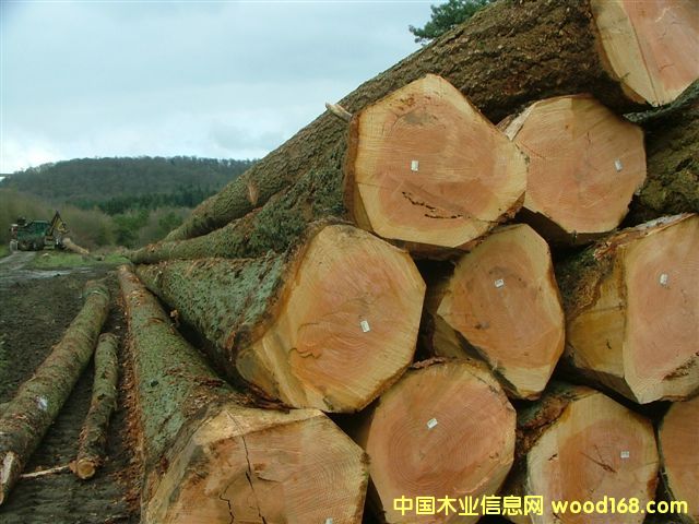 [��] �W�޴󏽼�������ԭľ