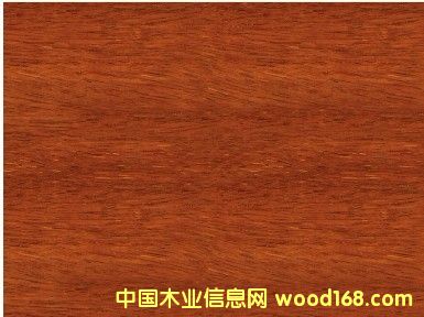 �����y��ľ��ġ��y��ľ����r���Ϻ��S���y��ľֱ�N