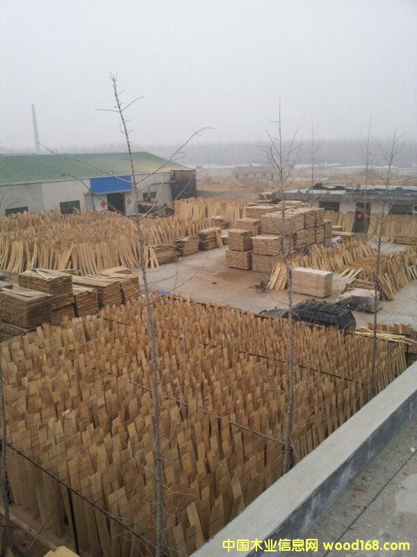 �ذ���壬�W�� ����