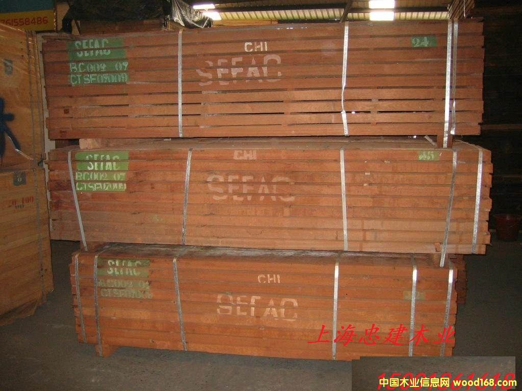 �M�ں��SEFAC��ɳ����