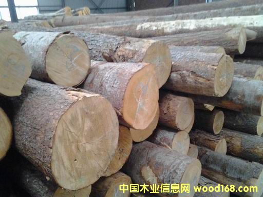 ԭľ��Ԕ��(x��)��B