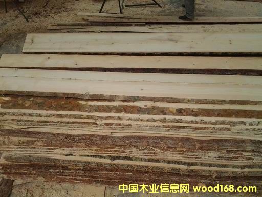 ľ���Ԕ��(x��)��B