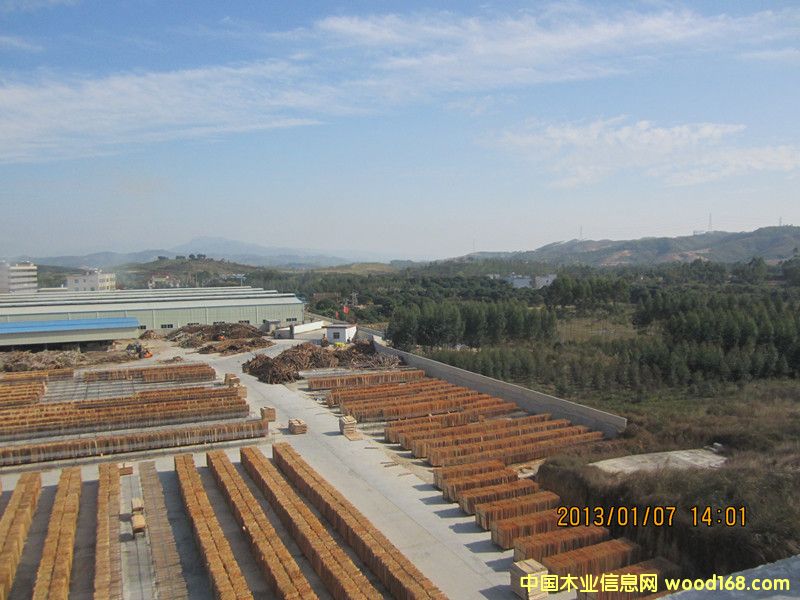 �����L(f��ng)����Ԕ��(x��)��B