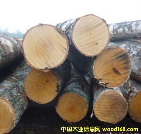 �W�ްט�ԭľ�Џ���Ԕ����B