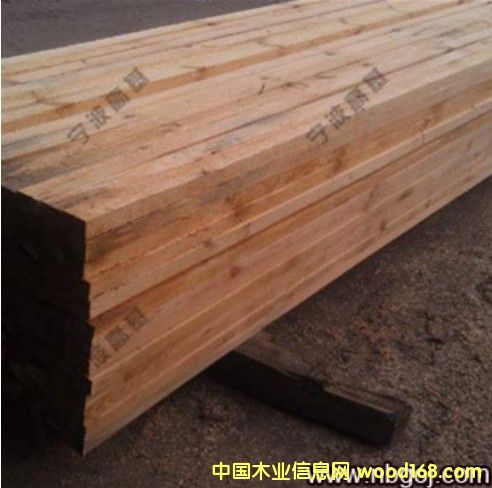 �����ɽ�������ľ��ľ�ĵ�Ԕ����B