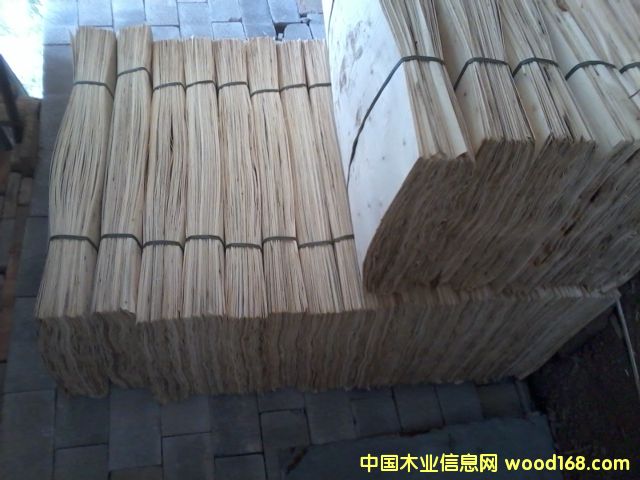 ��ľƤ��Ԕ����B