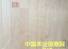 ��ľ�w��ľ�ذ�www.tipurunsheng.com��Ԕ����B