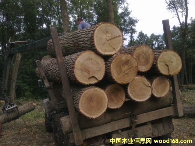 ԭľ��Ԕ����B