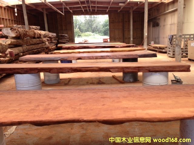 �����mꎳ�ľ��Ԕ����B