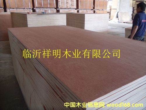 [��] �z�ϰ�15����b���бP��