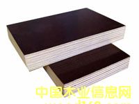 �c���鿴����ģ��Ŵ�DƬ