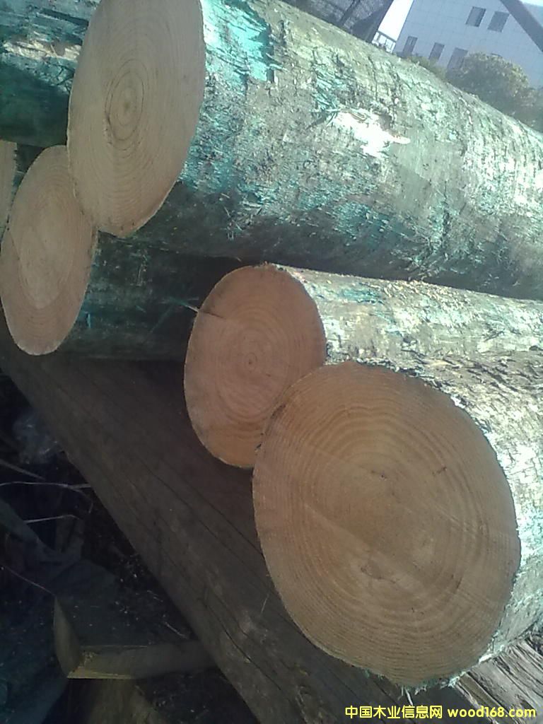 ݗ���ɟo��(ji��)��