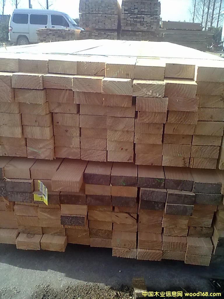 �����ɽ���ľ��