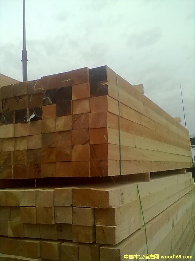 ������ľ��