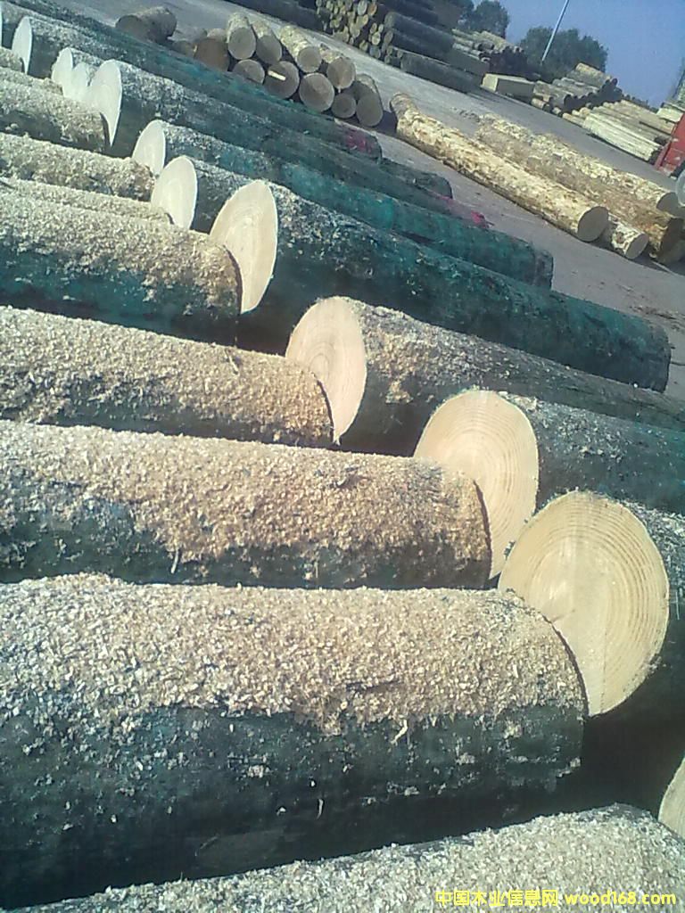 ݗ���ɟo��(ji��)��