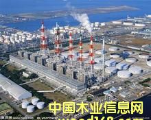 ��ȩ��֬�z-�����S��Ԕ��(x��)��B