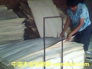 ��ľ�ΰ��Ԕ����B