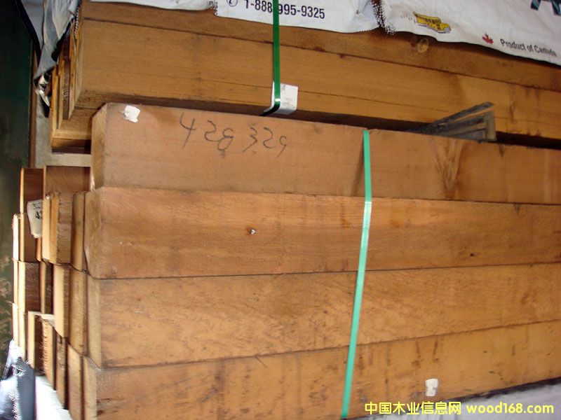 �c���鿴�tѩ�ɷŴ�DƬ