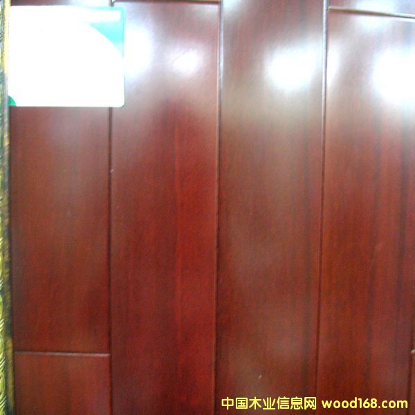 �c���鿴�t�Fľ�Ŵ�DƬ