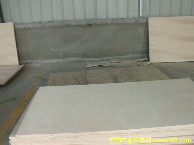 [��] �������NҎ�񼰮��θ��Nһ�γ��Ͷ��γ��Ͱ��b��