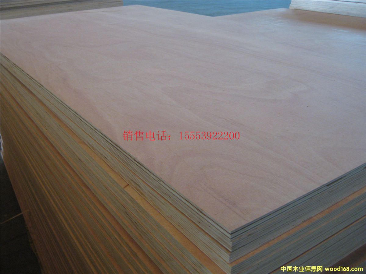 [��] �������NҎ�񼰮��θ��Nһ�γ��Ͷ��γ��Ͱ��b��