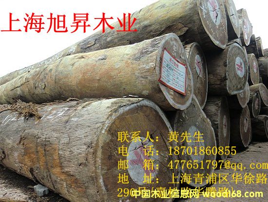 �t�Fľԭľ�ӹ������Ԕ����B