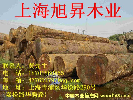 �͵�ľԭľ�ӹ������Ԕ����B