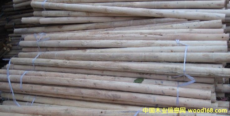 �@ľ����ľо1