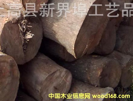 ��(y��u)�|(zh��)����