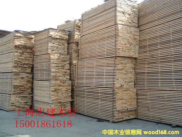 [��] ˮ�����Ҿ߲�