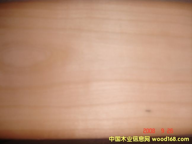 ��������ľƤ