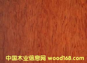 �o��������ľľƤ