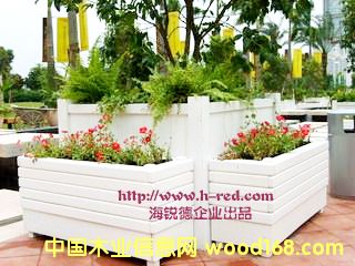 ����5��Ԕ����B