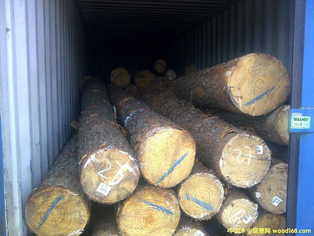 ��������ľ��Ԕ����B