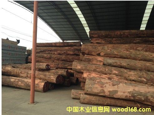 ���_�T��̴��Tubi��