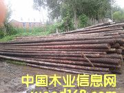 ��ľ�U��Ԕ��(x��)��B