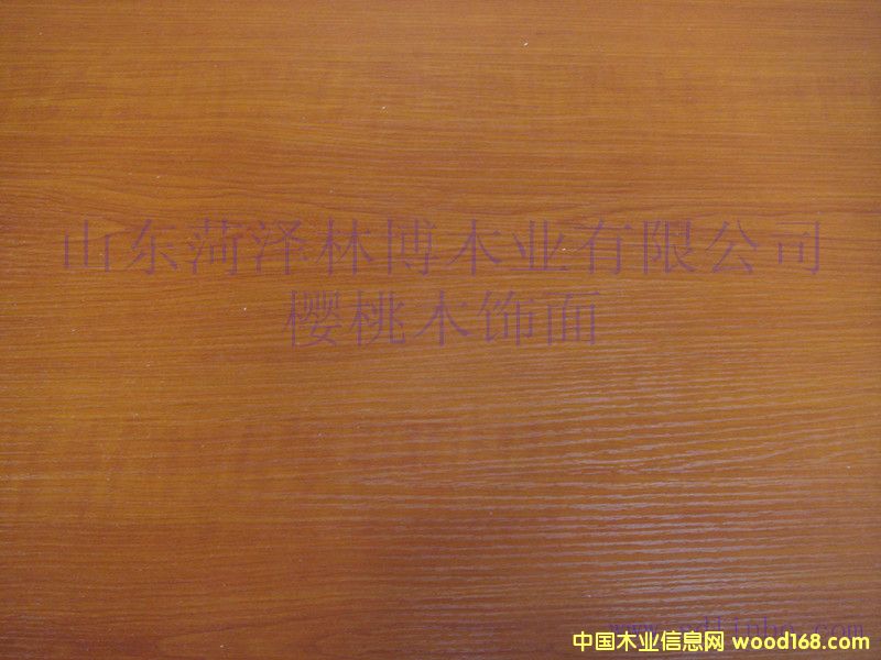 ���B(t��i)���Ԕ����B