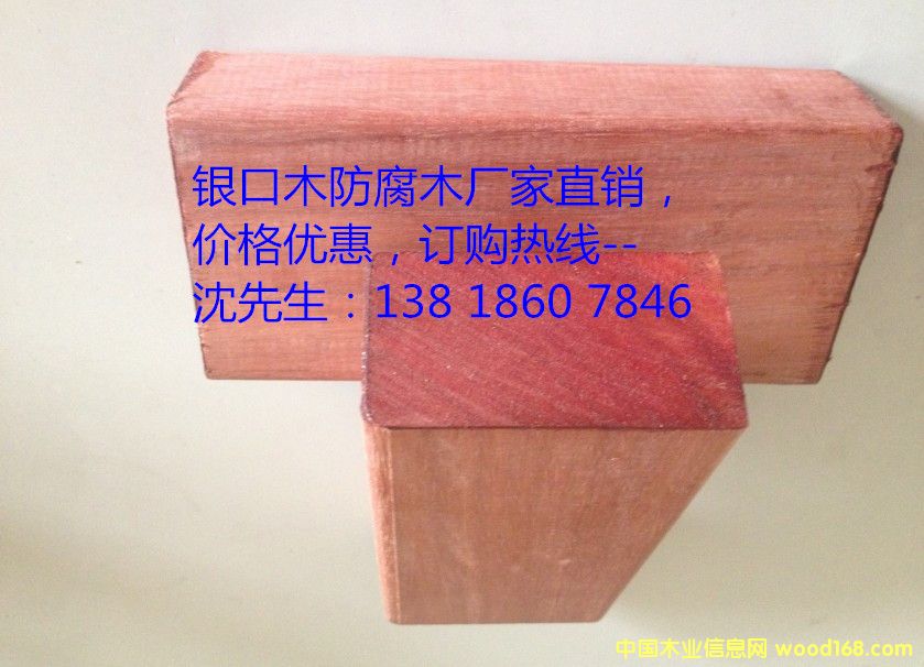 �y��ľ����ľ��Ԕ��(x��)��B