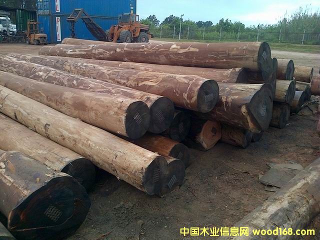 [��] �ֈ�����ֱ��FSC��ľԭľ