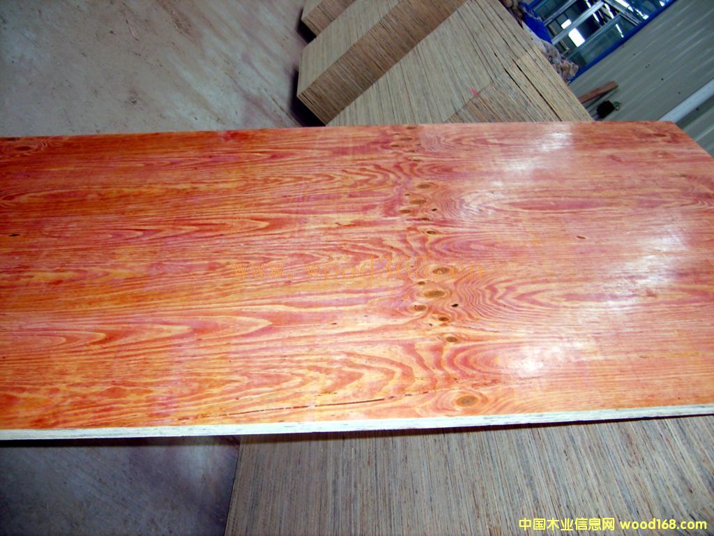 50cmɼľ��;���򘶡����ڡ��G��