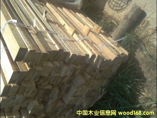 �c���鿴���K��ľ����ľ�l�Ŵ�DƬ