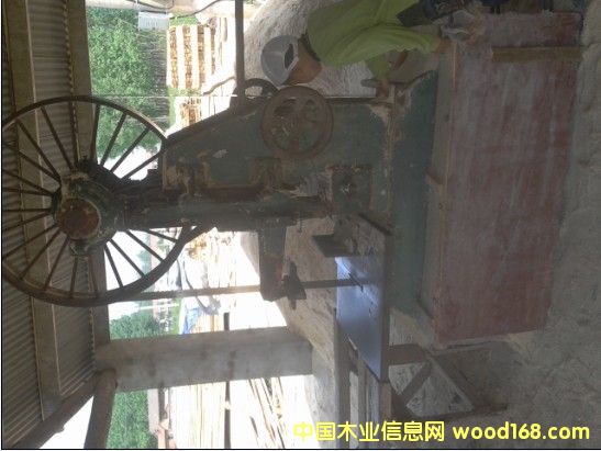 �c���鿴��ľ������ľ�l�Ŵ�DƬ