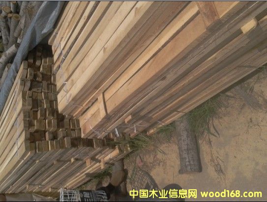 �c���鿴ľ����ľ�l����ľ��Ŵ�DƬ