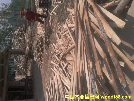 �c���鿴���ľ���Ŵ�DƬ