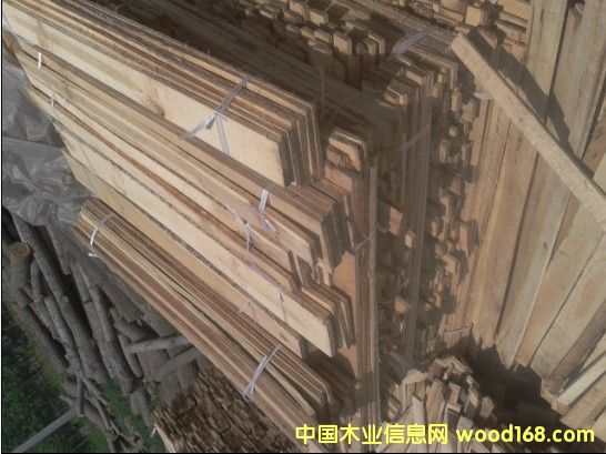 �c���鿴��ľ�l����ľ���Ŵ�DƬ