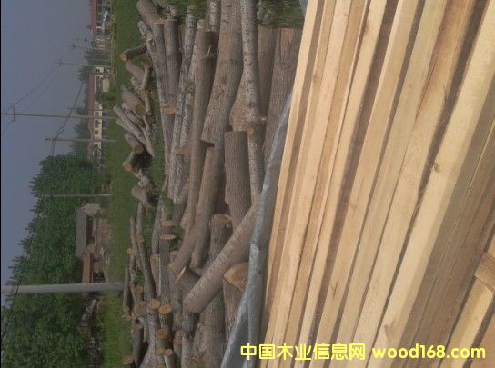 �c���鿴��ľ�����ľ�l��ľ���Ŵ�DƬ