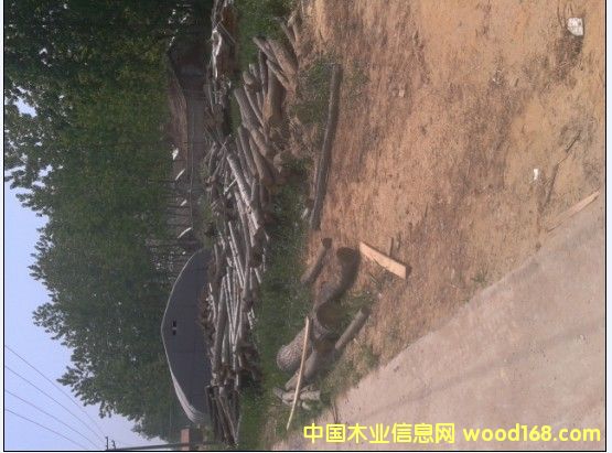 �c���鿴���ľ�l�Ŵ�DƬ