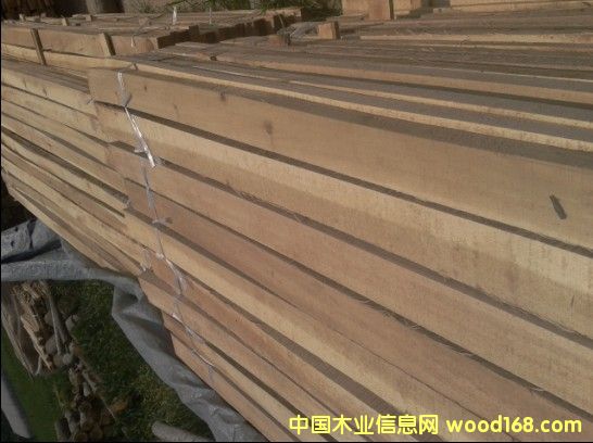 �c���鿴��ľ��ķŴ�DƬ