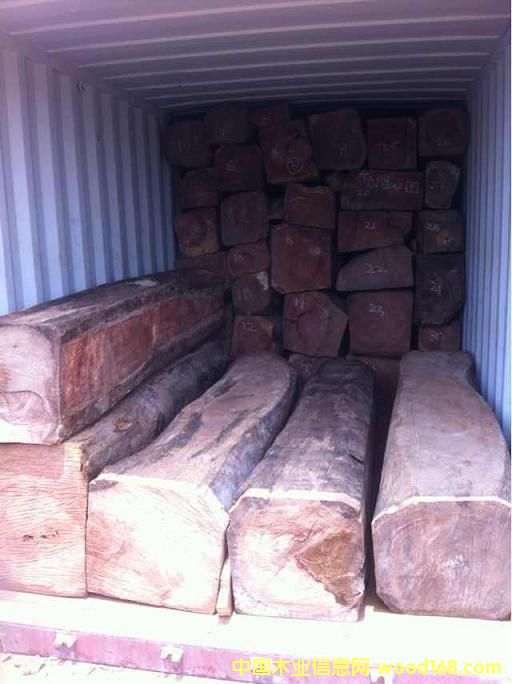 ����ľ����/Doussie