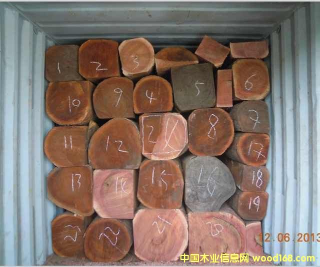 �����һ�о����/Acajou